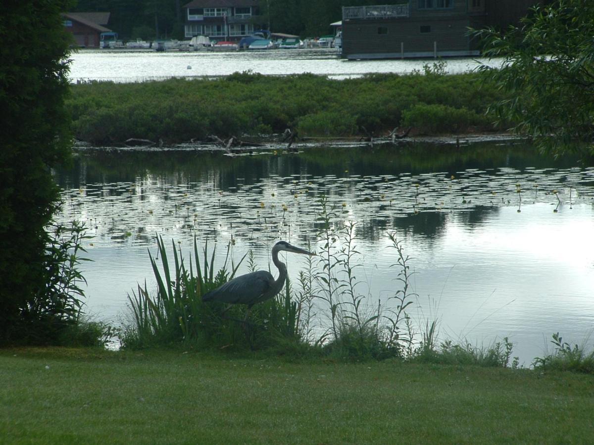 Wildwood On The Lake Lake Placid Dış mekan fotoğraf
